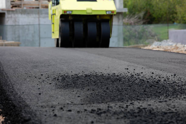 Commercial Driveway Pavers in Tangelo Park, FL